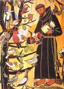 Contemplando a Dios en la creación